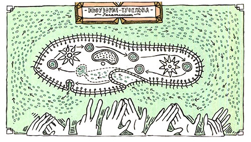 Загадка жизни и грязные носки Йоса Гротьеса из Дрила Загадка жизни и грязные носки Йоса Гротьеса из Дрила
