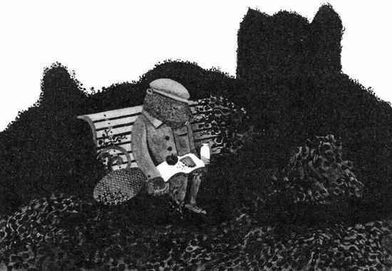 Империя Дикого леса Империя Дикого леса