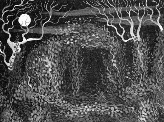 Империя Дикого леса Империя Дикого леса