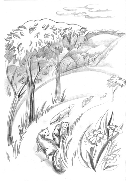 Ливергиния Ливергиния