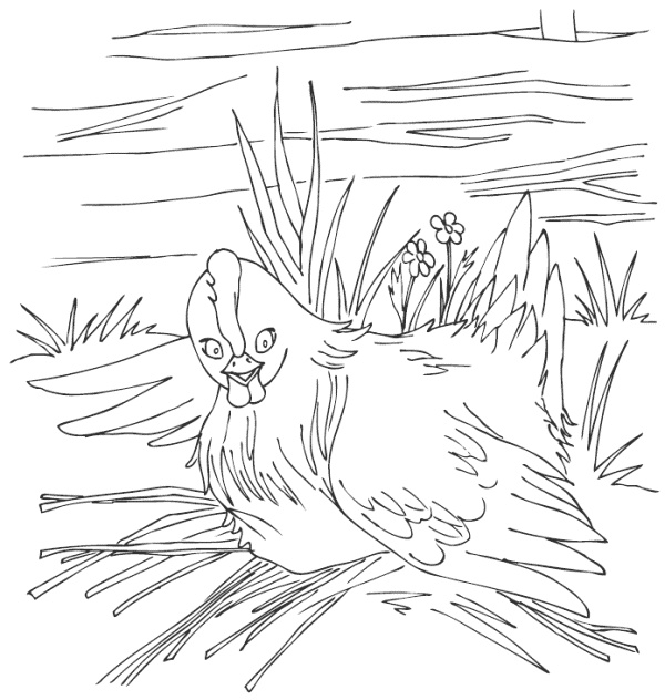 Молодка Молодка