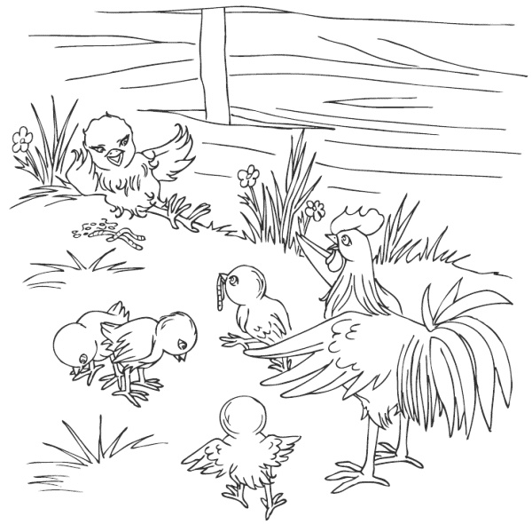 Молодка Молодка