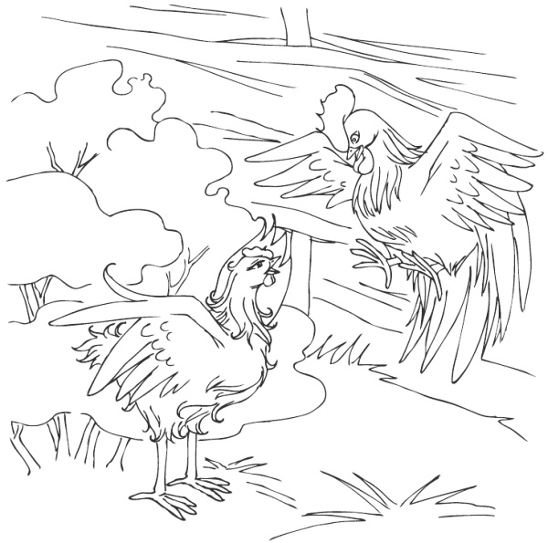 Молодка Молодка