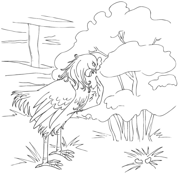 Молодка Молодка