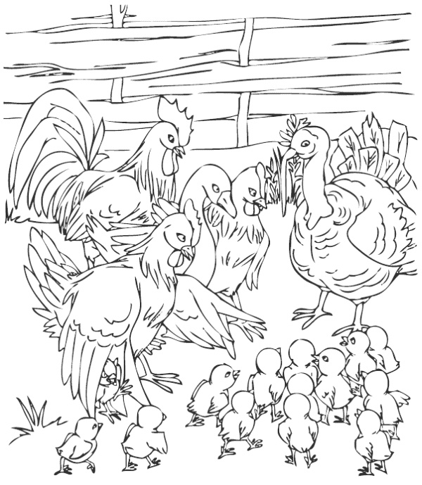 Непоседа – наоборот Непоседа – наоборот