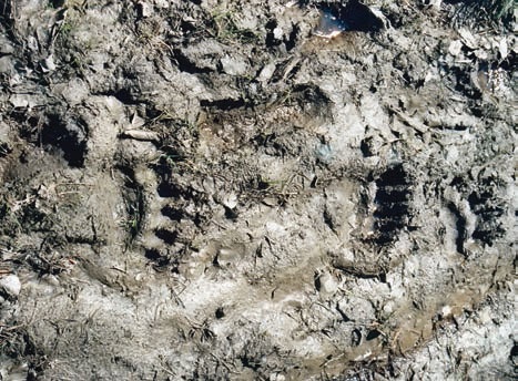 В глуши таёжной (сборник) В глуши таёжной (сборник)