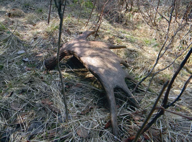 В глуши таёжной (сборник) В глуши таёжной (сборник)