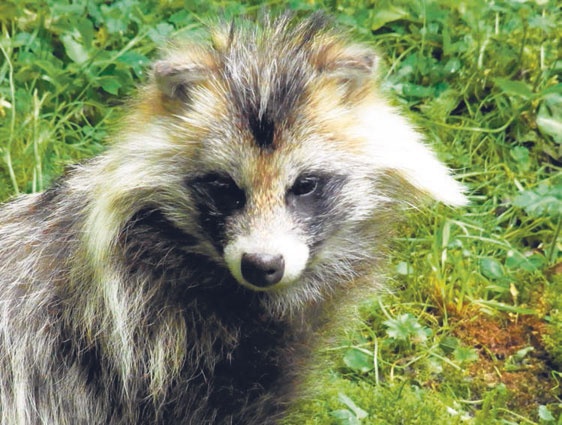 В глуши таёжной (сборник) В глуши таёжной (сборник)