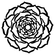 Живая пища. Сыроедение: энергетика, психология