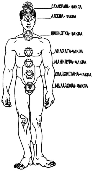 Живая пища. Сыроедение: энергетика, психология