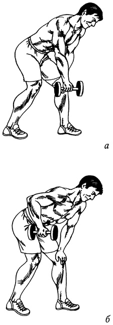Живая пища. Сыроедение: энергетика, психология