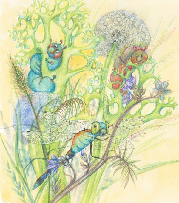 Тайна гранатовых зерен Тайна гранатовых зерен