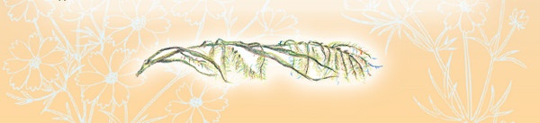 Тайна гранатовых зерен Тайна гранатовых зерен