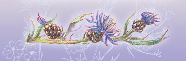 Тайна гранатовых зерен Тайна гранатовых зерен