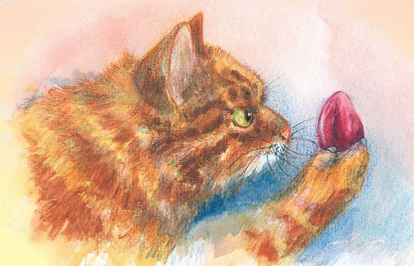 Тайна гранатовых зерен Тайна гранатовых зерен