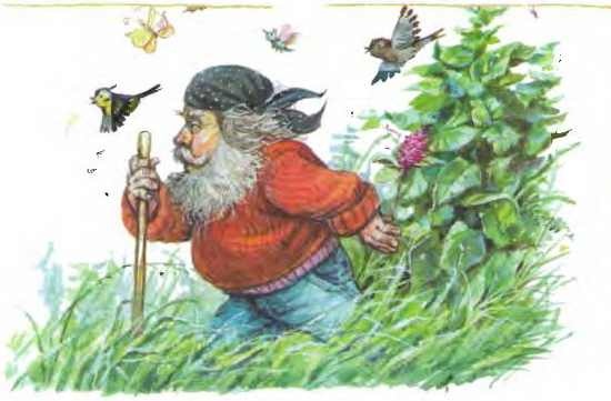 Изюмка и гном Изюмка и гном