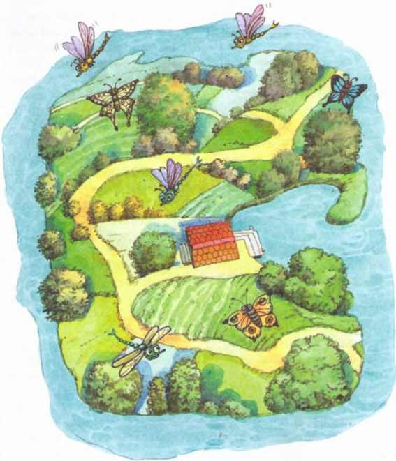 Изюмка и гном Изюмка и гном