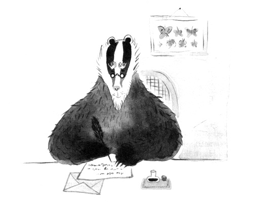 Барсук с нашего двора Барсук с нашего двора