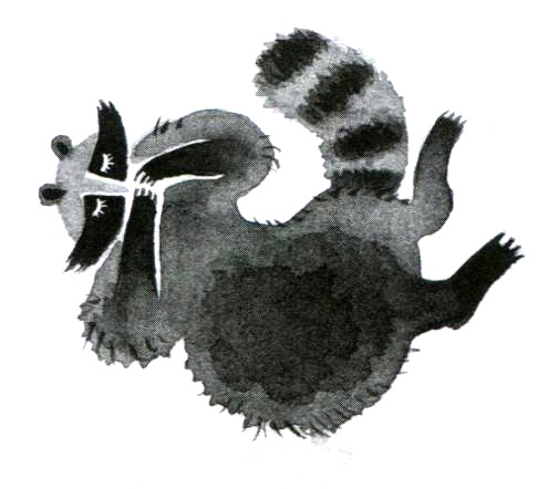 Барсук с нашего двора Барсук с нашего двора