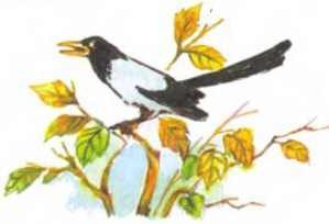 Пять забавных медвежат