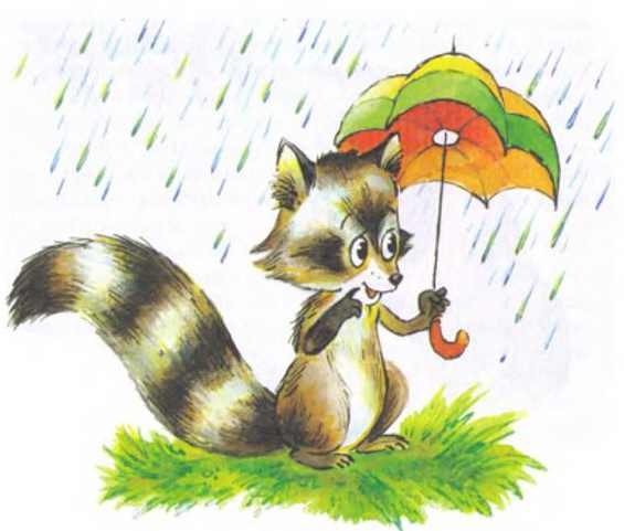 Пять забавных медвежат