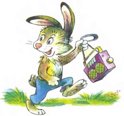 Пять забавных медвежат