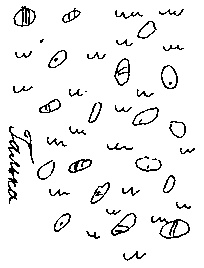 Малыш и река Малыш и река