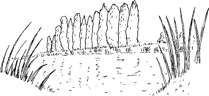 Малыш и река Малыш и река