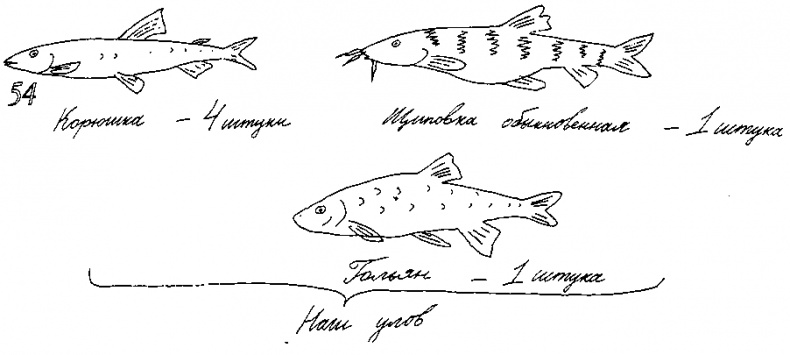 Малыш и река Малыш и река
