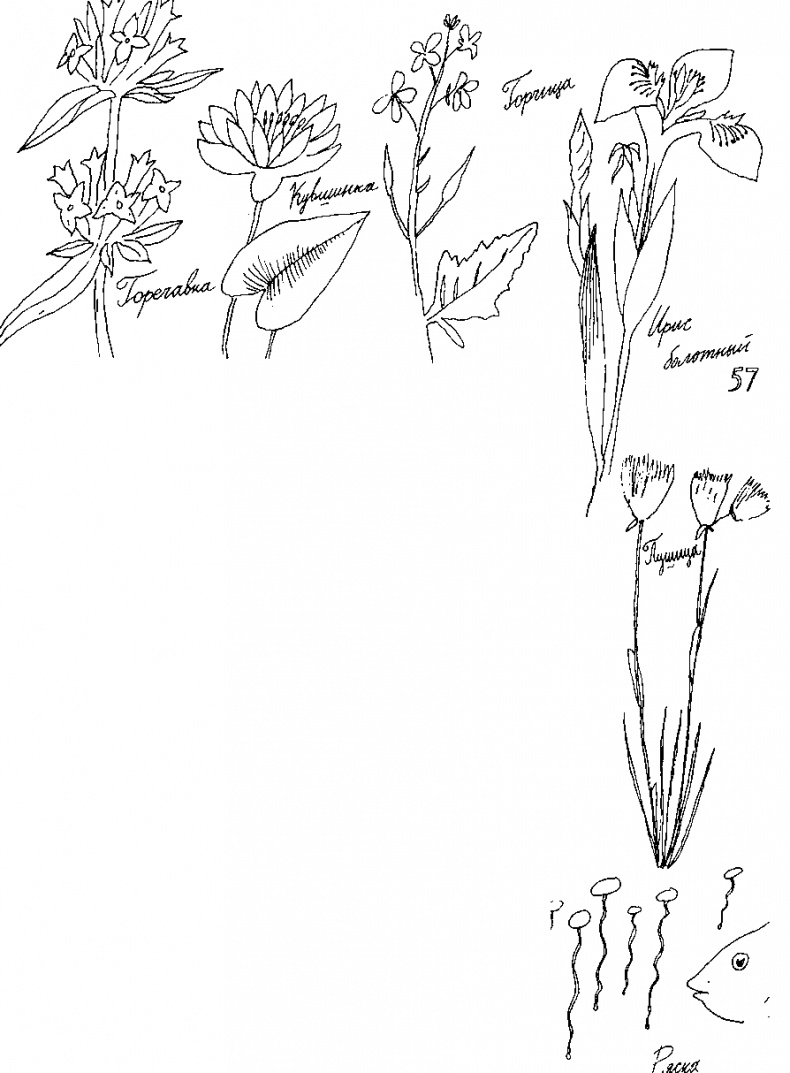 Малыш и река Малыш и река