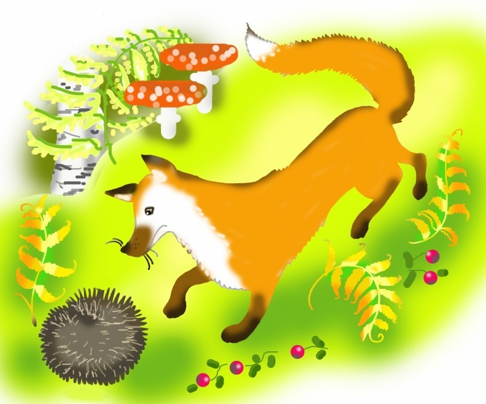 Почему ёжики колючие? Почему ёжики колючие?