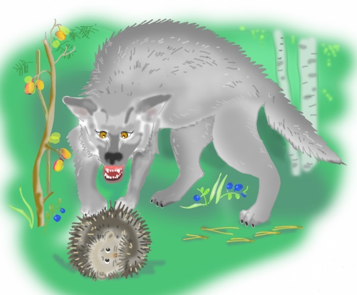 Почему ёжики колючие? Почему ёжики колючие?