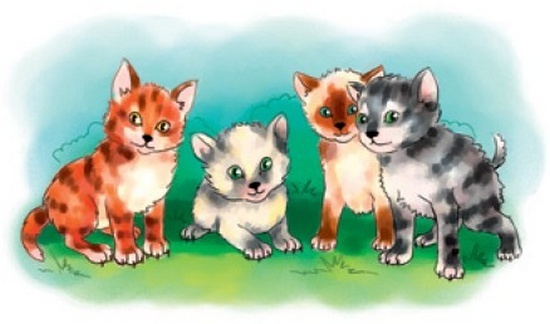 Год Принцессы Букашки Год Принцессы Букашки