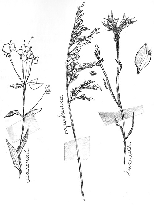 Вечный Тук Вечный Тук