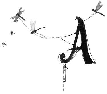 Вечный Тук Вечный Тук