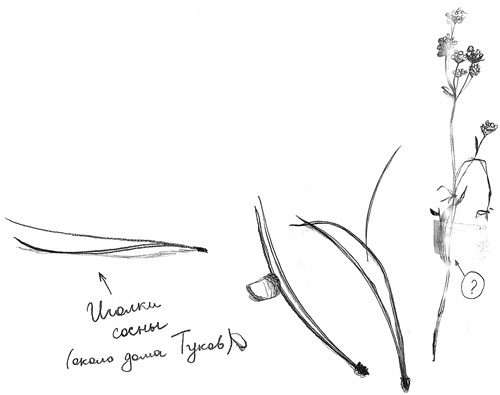 Вечный Тук Вечный Тук