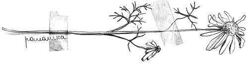 Вечный Тук Вечный Тук