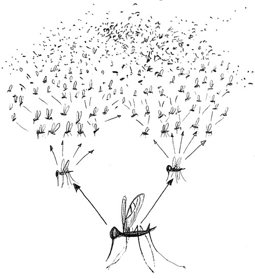 Вечный Тук Вечный Тук