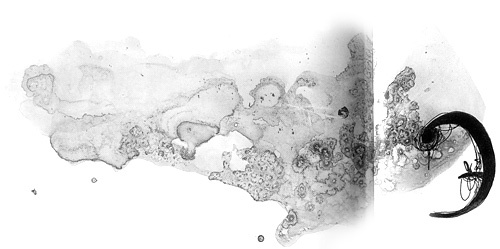 Вечный Тук Вечный Тук