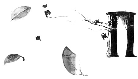 Вечный Тук Вечный Тук