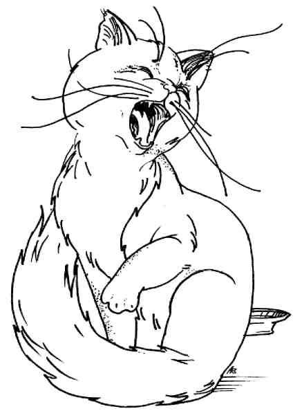 Кошки как дети Кошки как дети