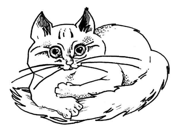 Кошки как дети Кошки как дети