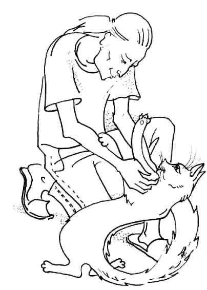 Кошки как дети Кошки как дети