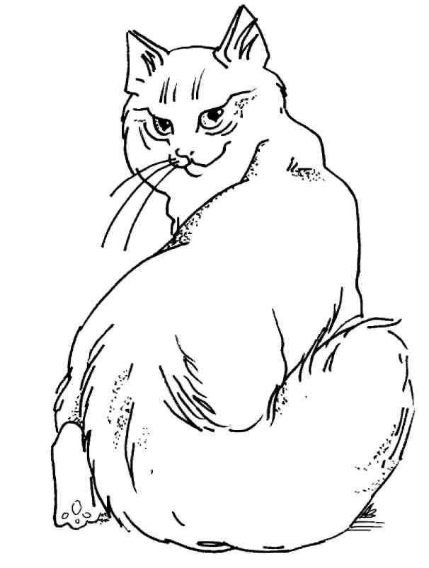 Кошки как дети Кошки как дети