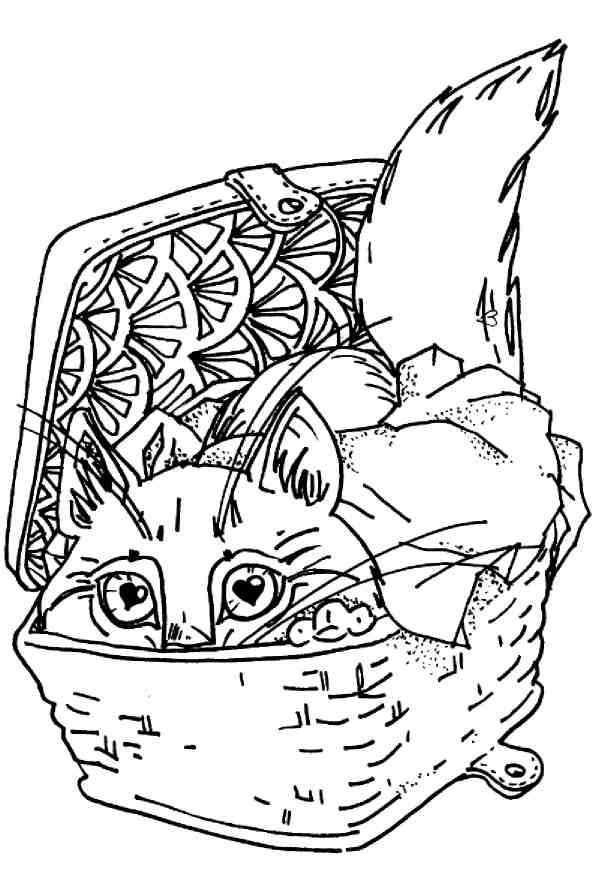 Кошки как дети Кошки как дети