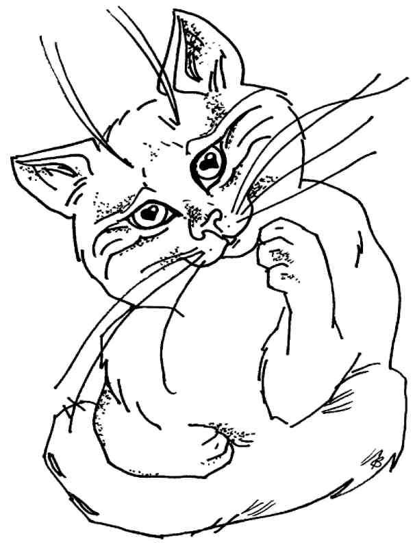 Кошки как дети Кошки как дети