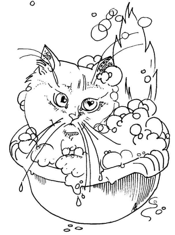 Кошки как дети Кошки как дети