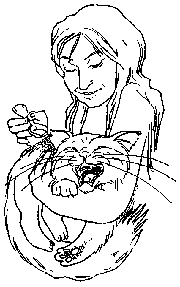 Кошки как дети Кошки как дети