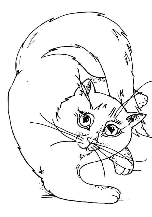 Кошки как дети Кошки как дети