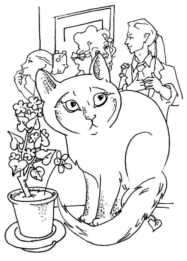 Кошки как дети Кошки как дети